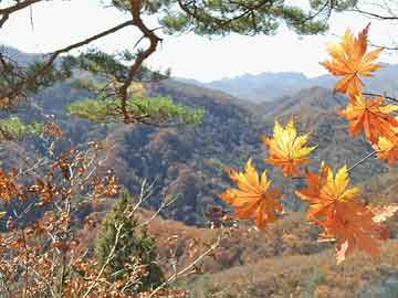 应对60访客高峰的策略与实践方法