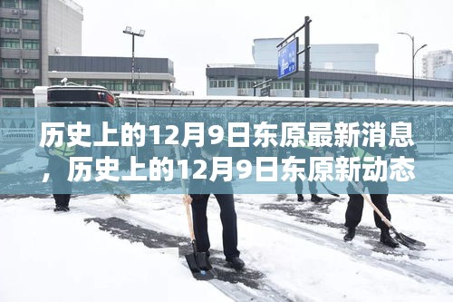 揭秘历史上的东原新动态，最新消息全解析与揭秘新动态内幕