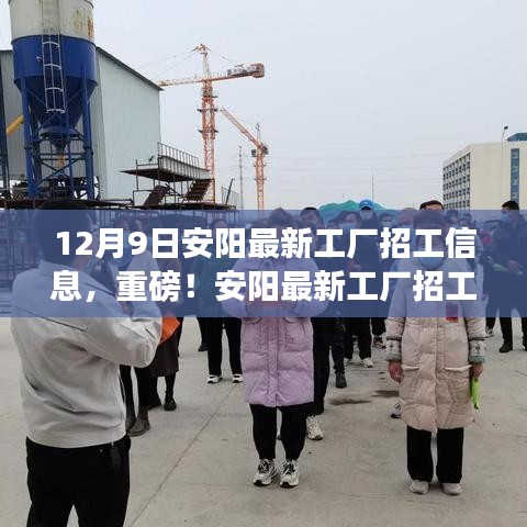 第1393页