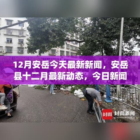 富贵逼人 第3页