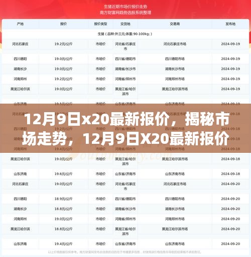 揭秘市场走势，12月9日X20最新报价与专业解读