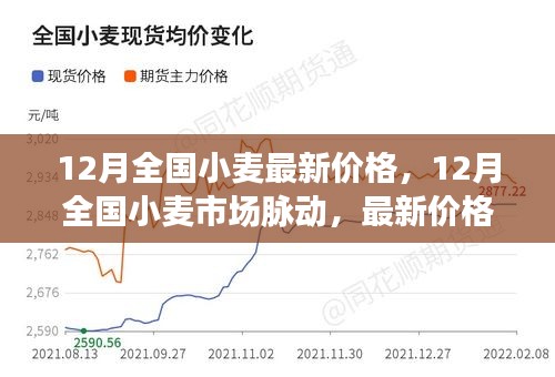 12月全国小麦市场动态，最新价格及走势深度解析