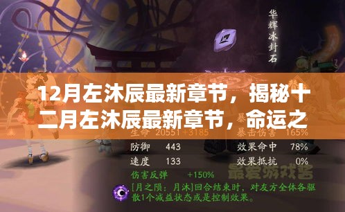 揭秘左沐辰十二月最新章节，命运之轮转动之际