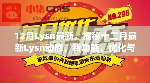 揭秘十二月最新Lysn动态，新功能、优化及未来展望