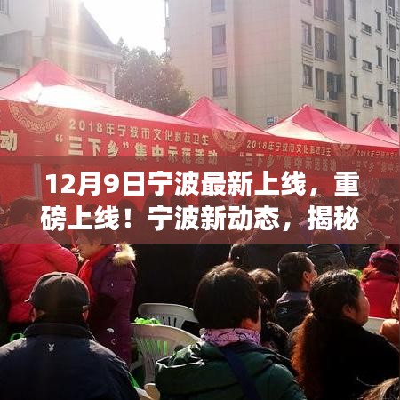 揭秘宁波最新科技与文化进展，十二月九日重磅上线新动态