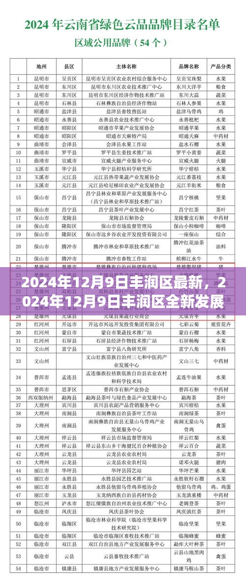 丰润区全新发展报告深度解读，最新动态与未来展望（2024年12月9日）