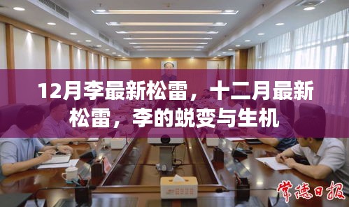 李最新松雷的蜕变与生机，十二月的生机展现
