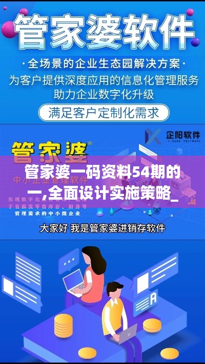管家婆一码资料54期的一,全面设计实施策略_创新版8.294