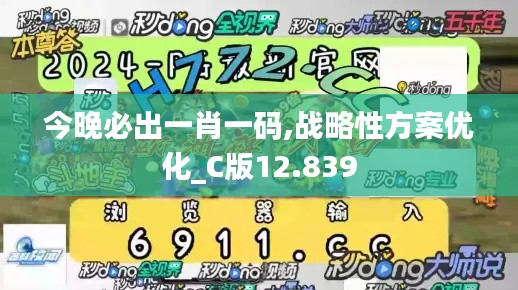 今晚必出一肖一码,战略性方案优化_C版12.839