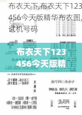 布衣天下123456今天版精华布衣图,试机号码,调整计划执行细节_入门版8.198