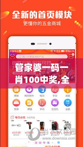 管家婆一码一肖100中奖,全面数据策略实施_Linux4.644