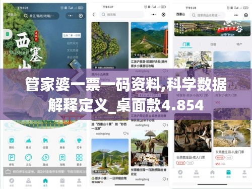 管家婆一票一码资料,科学数据解释定义_桌面款4.854