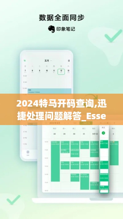 2024特马开码查询,迅捷处理问题解答_Essential4.610