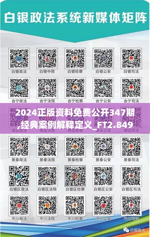 2024正版资料免费公开347期,经典案例解释定义_FT2.849