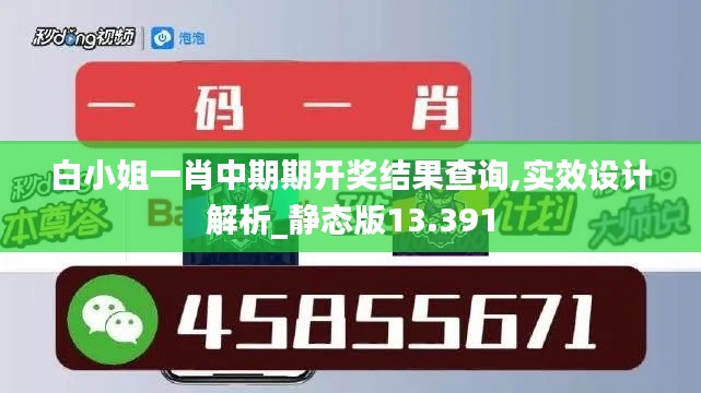 白小姐一肖中期期开奖结果查询,实效设计解析_静态版13.391