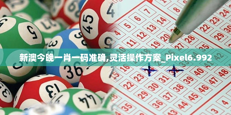 新澳今晚一肖一码准确,灵活操作方案_Pixel6.992