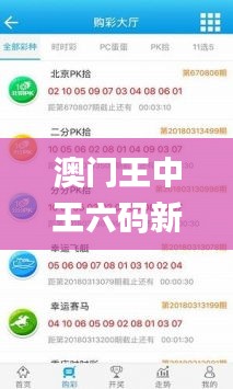 澳门王中王六码新澳门,精细分析解释定义_云端版4.678
