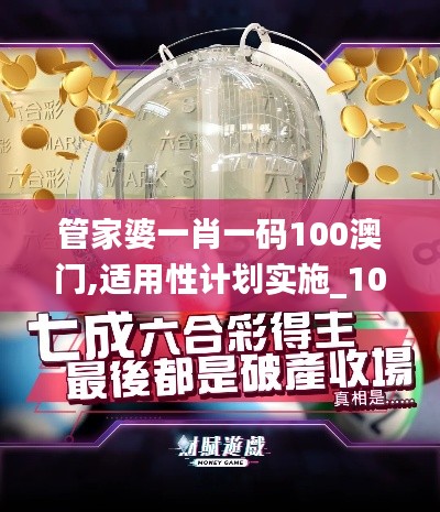 管家婆一肖一码100澳门,适用性计划实施_10DM18.906