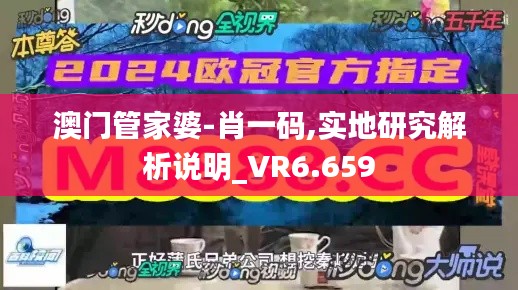 澳门管家婆-肖一码,实地研究解析说明_VR6.659