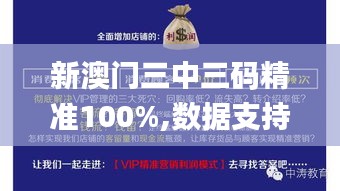 新澳门三中三码精准100%,数据支持方案设计_NE版9.331