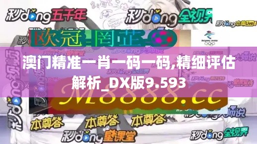 澳门精准一肖一码一码,精细评估解析_DX版9.593