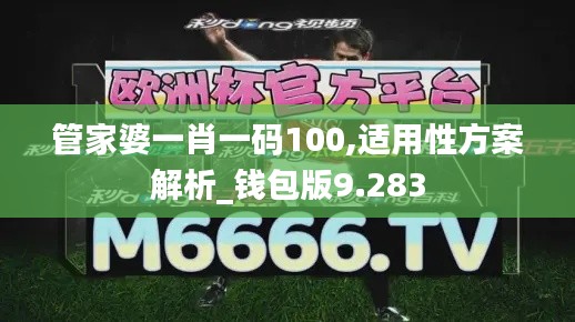 管家婆一肖一码100,适用性方案解析_钱包版9.283