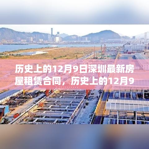 历史上的12月9日深圳最新房屋租赁合同解读与概览