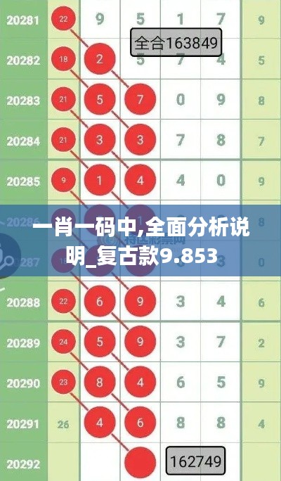 一肖一码中,全面分析说明_复古款9.853