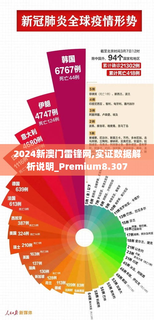 2024新澳门雷锋网,实证数据解析说明_Premium8.307