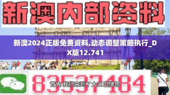 新澳2024正版免费资料,动态调整策略执行_DX版12.741