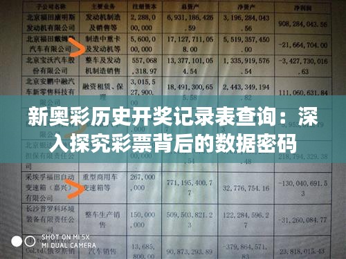 新奥彩历史开奖记录表查询：深入探究彩票背后的数据密码