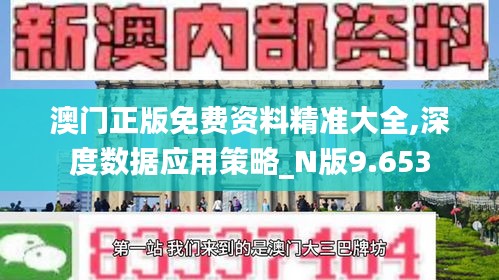 澳门正版免费资料精准大全,深度数据应用策略_N版9.653
