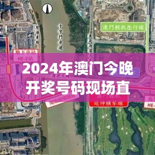 第1206页