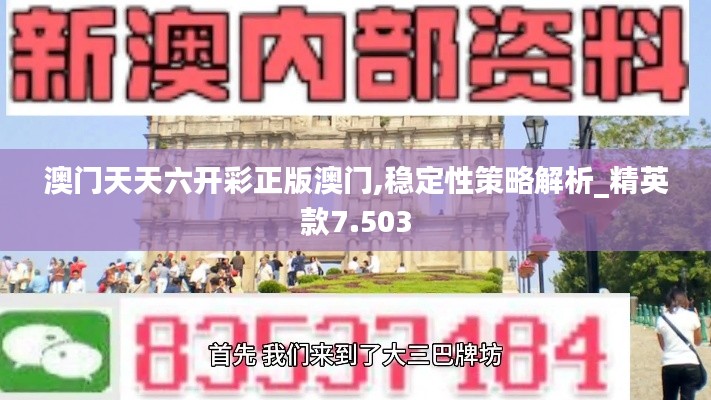 澳门天天六开彩正版澳门,稳定性策略解析_精英款7.503