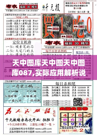 天中图库天中图天中图库087,实际应用解析说明_MR2.683