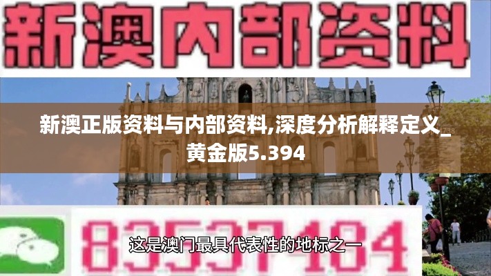 新澳正版资料与内部资料,深度分析解释定义_黄金版5.394