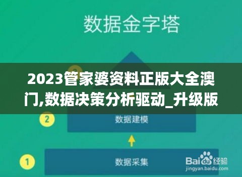 2023管家婆资料正版大全澳门,数据决策分析驱动_升级版10.893
