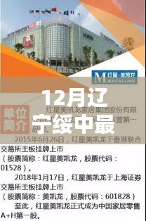 12月辽宁绥中热门职位与最新招聘信息全解析