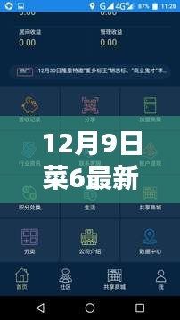 张皇铺饰 第3页