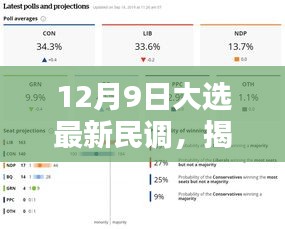 深度解析，最新民调揭示12月9日大选民意走向
