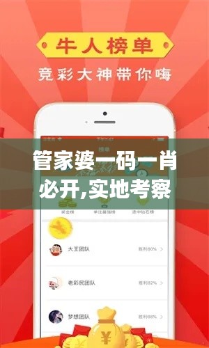 管家婆一码一肖必开,实地考察数据应用_5DM3.157