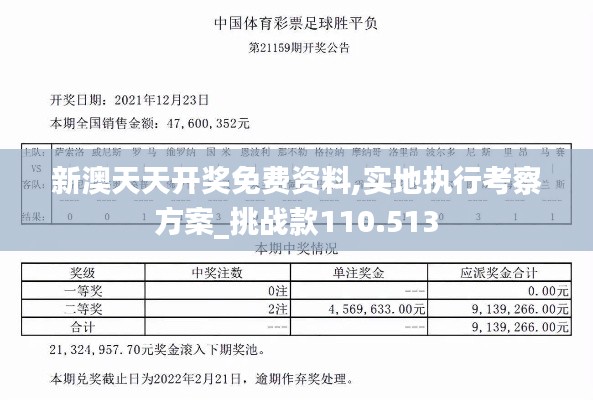 新澳天天开奖免费资料,实地执行考察方案_挑战款110.513