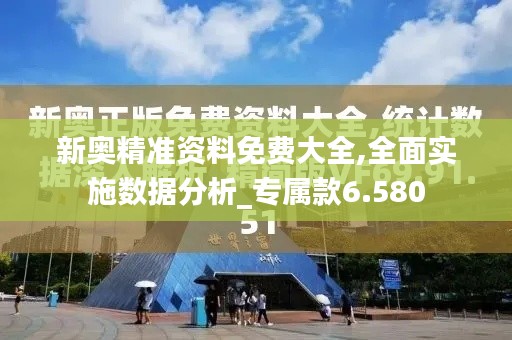 新奥精准资料免费大全,全面实施数据分析_专属款6.580