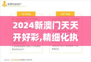 2024新澳门天天开好彩,精细化执行设计_网页版16.219