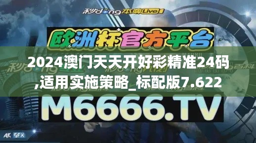 2024澳门天天开好彩精准24码,适用实施策略_标配版7.622
