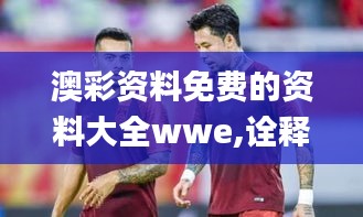 澳彩资料免费的资料大全wwe,诠释评估说明_Premium10.376