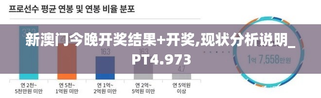 新澳门今晚开奖结果+开奖,现状分析说明_PT4.973