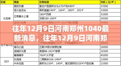 河南郑州1040现象，深度解析与最新消息观察