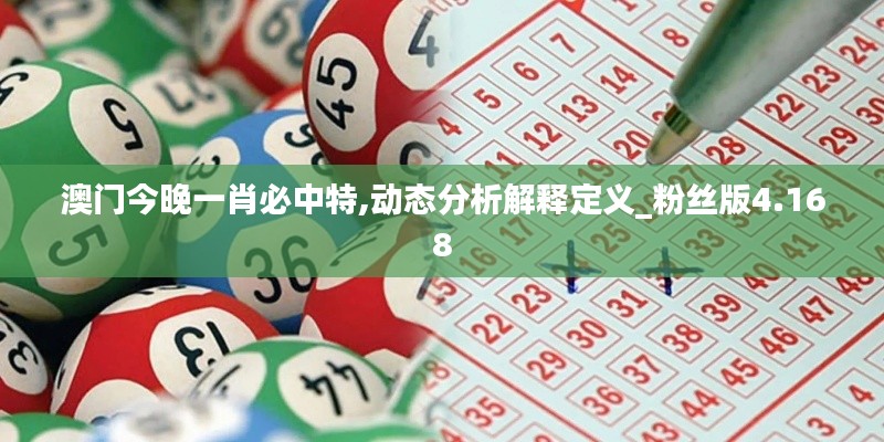 澳门今晚一肖必中特,动态分析解释定义_粉丝版4.168