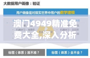 澳门4949精准免费大全,深入分析数据应用_Plus3.668